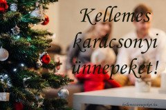kellemes karácsonyi ünnepeket fenyő család