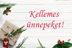 kellemes ünnepeket ajándék