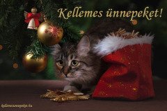 kellemes ünnepeket cicás1
