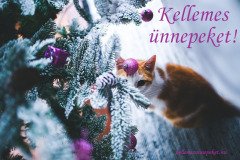 kellemes ünnepeket cicás2