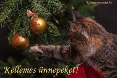 kellemes ünnepeket cicás játszik