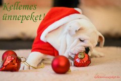 kellemes ünnepeket kutya dísz
