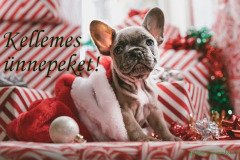 kellemes ünnepeket kutya francia bulldog