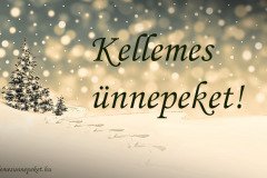 kellemes ünnepeket téli fenyő