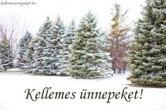 kellemes ünnepeket téli hó